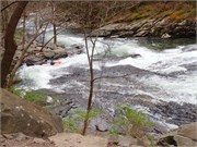 217_096-Tellico