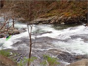 219_106-Tellico