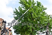 275_10-Auschwitz