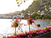336_24-Montreux