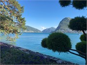 354_14-Lugano