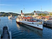 369_50-Lucerne
