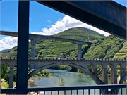 481_08-N222_DuroRiver