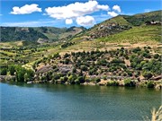 482_37-N222_DuroRiver