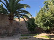 54-Granada