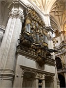 09-Caterdal_Granada