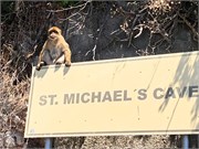 21-Gibraltar