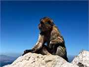 25-Gibraltar