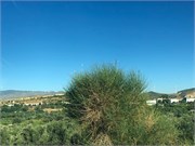 02-Andalusia