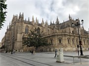 01-Caterdal_Seville
