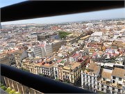 32-Caterdal_Seville