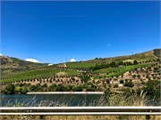 16-N222_DuroRiver