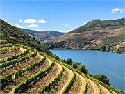 39-N222_DuroRiver