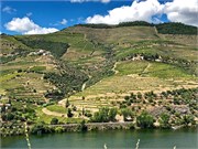 41-N222_DuroRiver