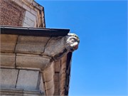 20-Avila