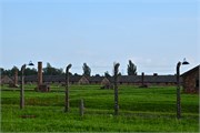 064-27-Birkenau