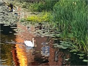 18-28-Gdansk_Poland