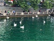 20-20-Zurich_06172018