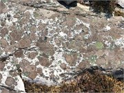 34-23-Ullapool