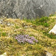 51-17-North_Cape_Norway