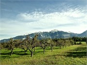 Slovenia2-01