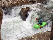 019-Tellico