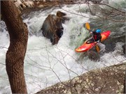 023-Tellico