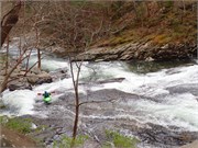 101-Tellico