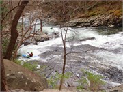 113-Tellico