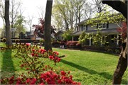 2_yard-in-bloom