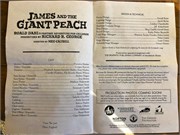 03-JamesGiantPeach
