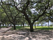 40-Charleston2019