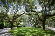 02-McLeod-Plantation
