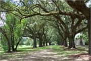 06-McLeod-Plantation