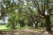 10-McLeod-Plantation