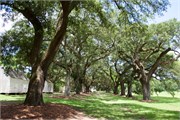15-McLeod-Plantation