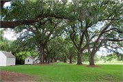 19-McLeod-Plantation