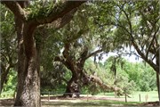 20-McLeod-Plantation