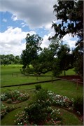 27-McLeod-Plantation