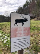 4_Cataloochee