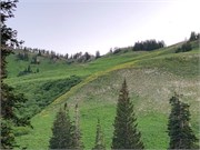 14-LittleCottonwoodCanyon