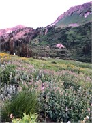 17-LittleCottonwoodCanyon