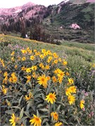 18-LittleCottonwoodCanyon
