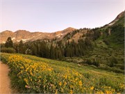 20-LittleCottonwoodCanyon