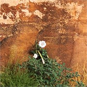 09-CanyonLands