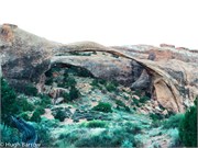 15-ArchesHugh