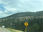15-DriveMoab2SLC