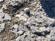 10-GreatSaltLake