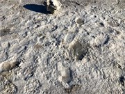 13-GreatSaltLake
