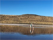 27-GreatSaltLake
